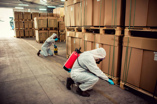 Best Flea Control Services  in Lakeport, TX