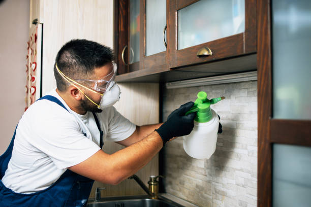 Best Pest Prevention Services  in Lakeport, TX