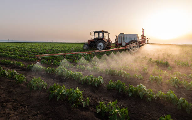 Best Cockroach Control Services  in Lakeport, TX