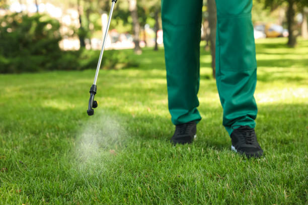 Best Best Pest Control Companies  in Lakeport, TX