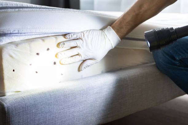 Best Pest Prevention Services  in Lakeport, TX