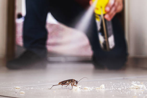 Best Pest Control Treatment  in Lakeport, TX