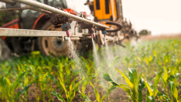 Best Best Pest Control Companies  in Lakeport, TX