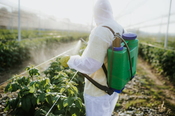 Best Pest Inspection Near Me  in Lakeport, TX